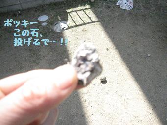 e0136815_8513891.jpg