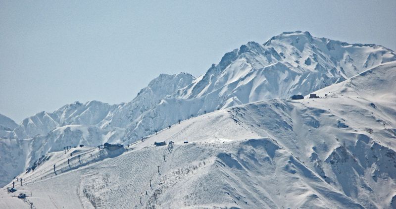 c0073016_187397.jpg