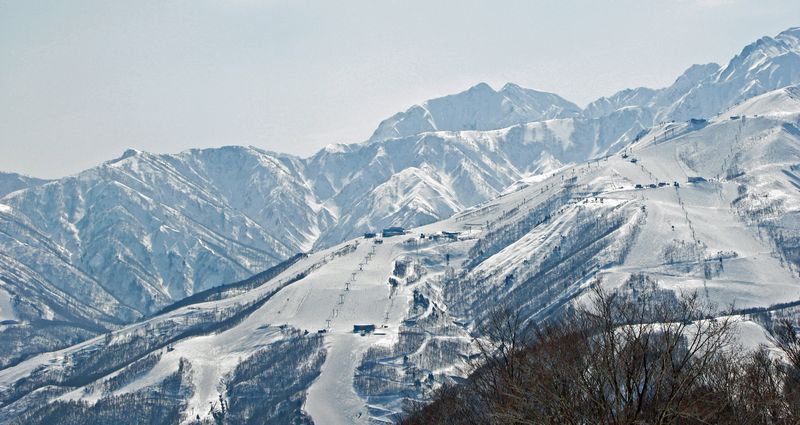 c0073016_187496.jpg