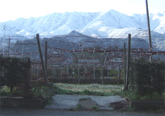 b0168320_15295936.jpg