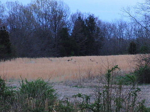 c0151122_1036246.jpg