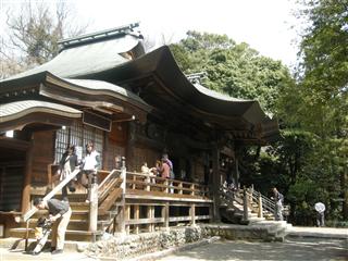 桜が開花～多磨霊園＆深大寺_c0039428_23241176.jpg