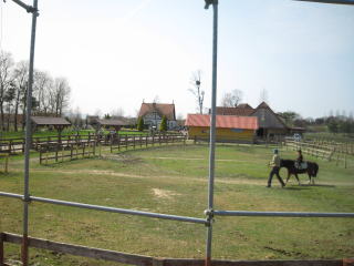 c0113733_3125326.jpg