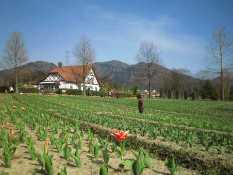c0113733_314397.jpg