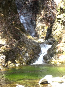 c0090236_2255087.jpg