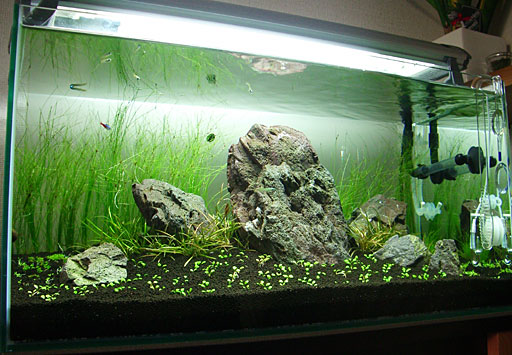 ADA リリィパイプ MINI V-1、P-2 セット