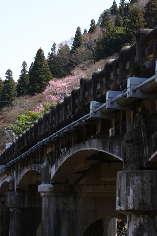 b0092844_2115518.jpg