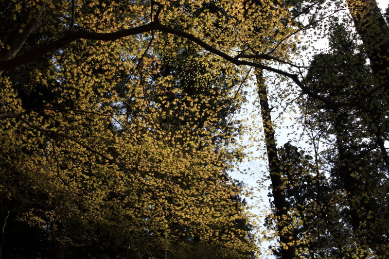 b0092844_2163350.jpg