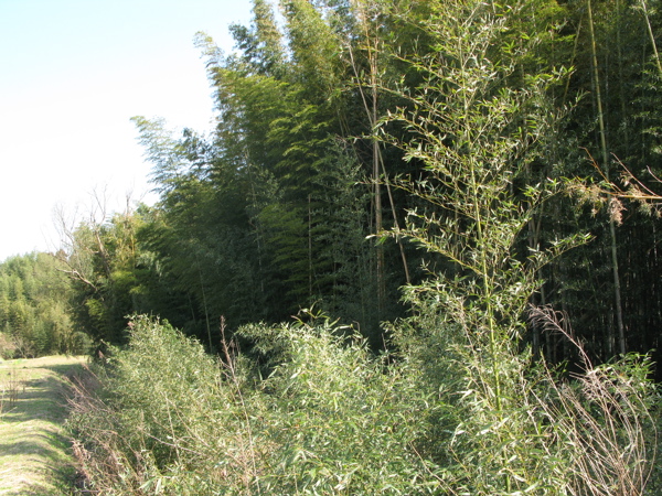c0039145_23273466.jpg