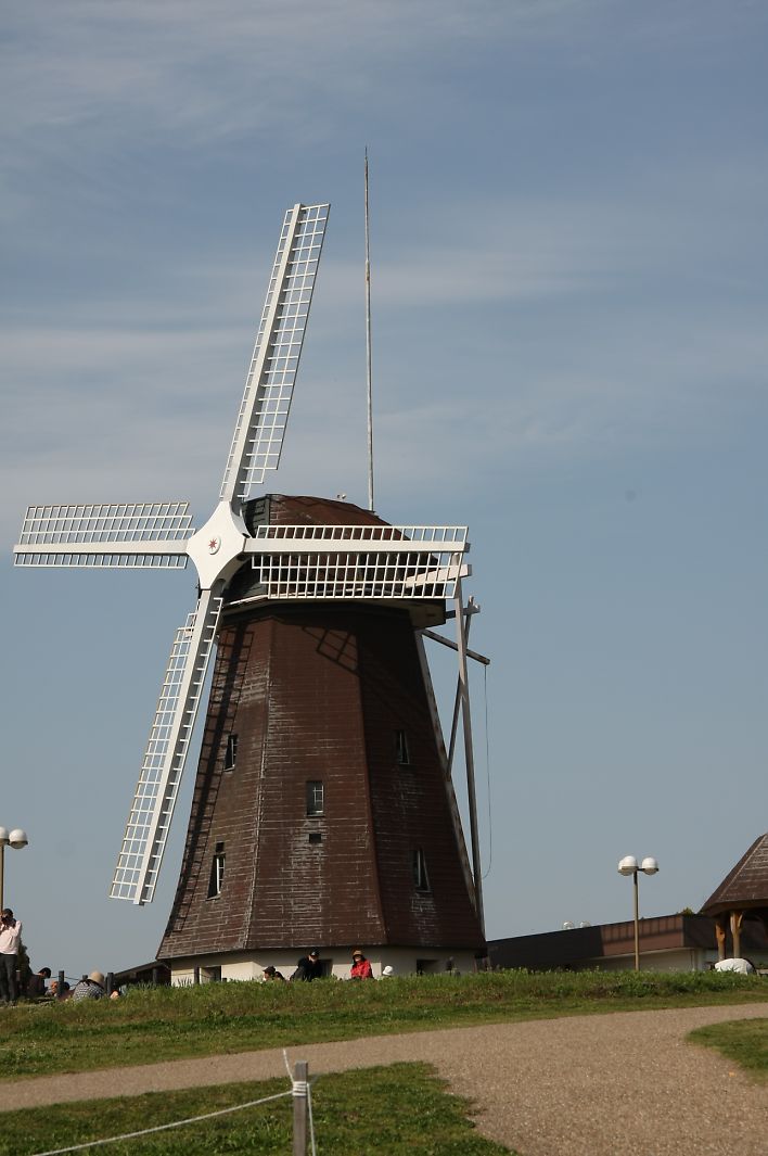 c0193648_04294.jpg