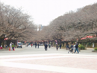 e0004756_2145567.jpg