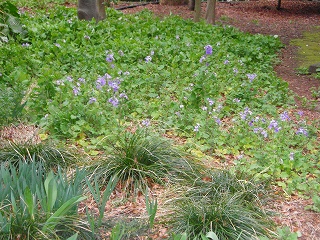 e0004756_2222634.jpg
