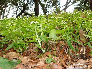 e0004756_22234383.jpg