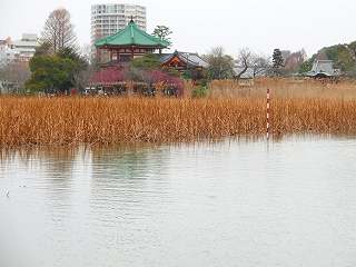 e0004756_2255297.jpg