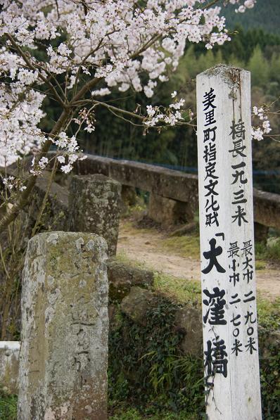 美里町　大窪橋の桜_b0123359_1103060.jpg