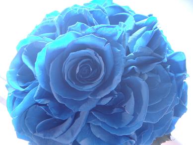c0198560_1849212.jpg