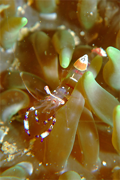 2009/03/21 Sat._e0158261_7421518.jpg