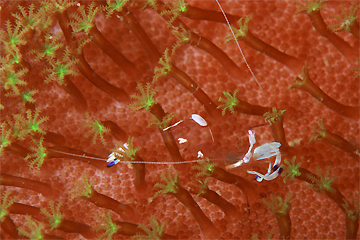 2009/03/21 Sat._e0158261_7423691.jpg