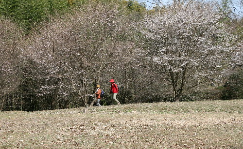 f0181173_1837373.jpg