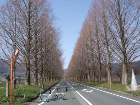 驚きの光景_e0138081_13155360.jpg