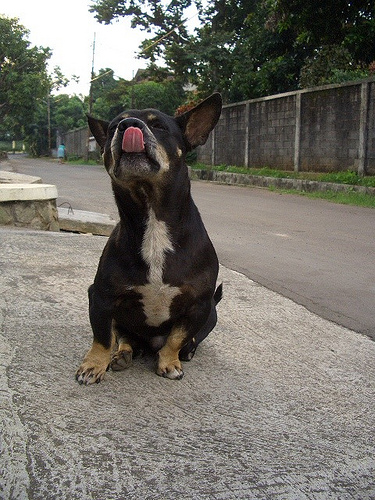 c0175883_3263779.jpg