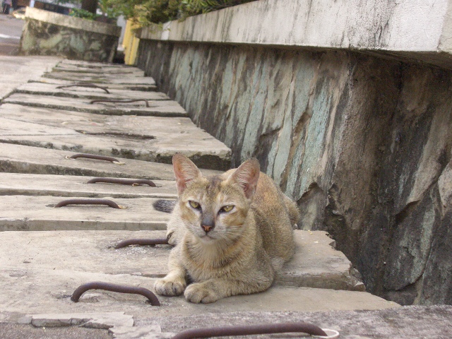c0175883_3281487.jpg