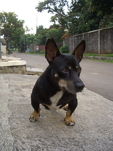 c0175883_334148.jpg