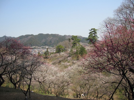 b0076384_03471.jpg