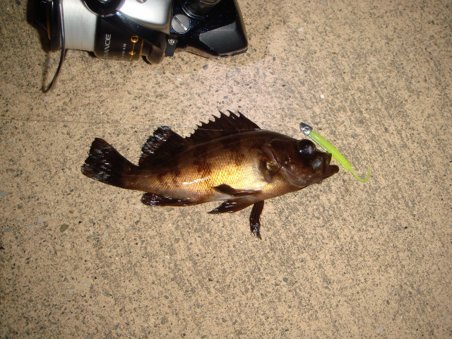 c0139388_12956100.jpg
