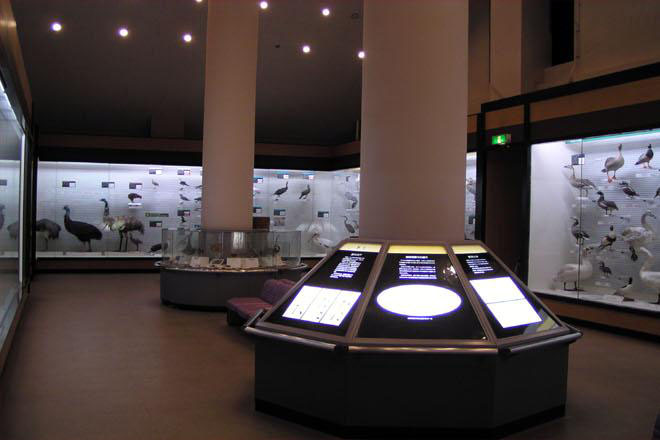 e0081292_012941.jpg