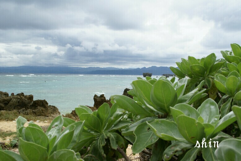 沖縄・古宇利島～☆_f0158596_10311770.jpg