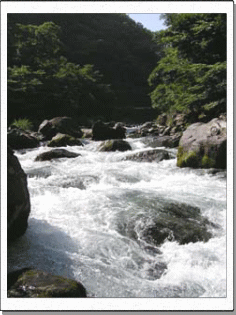 b0125397_2331223.gif