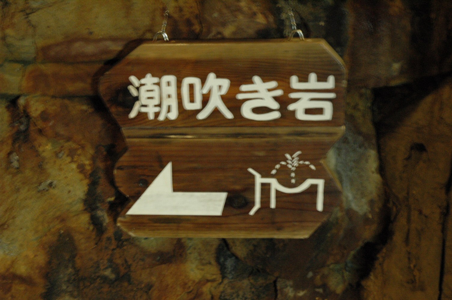 f0086397_1817611.jpg