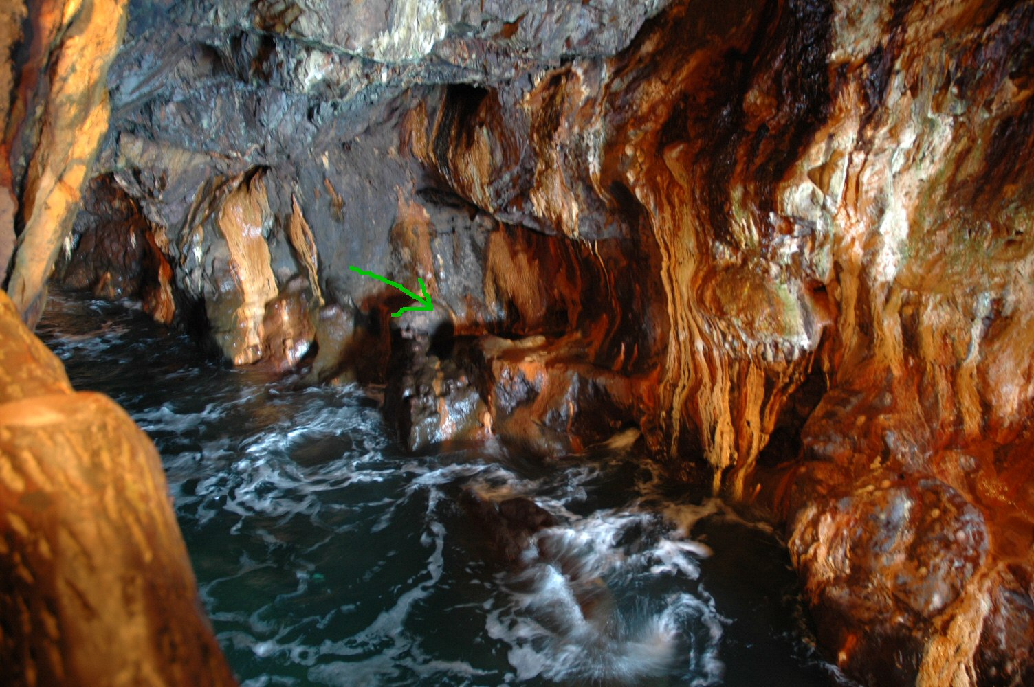 f0086397_18194114.jpg