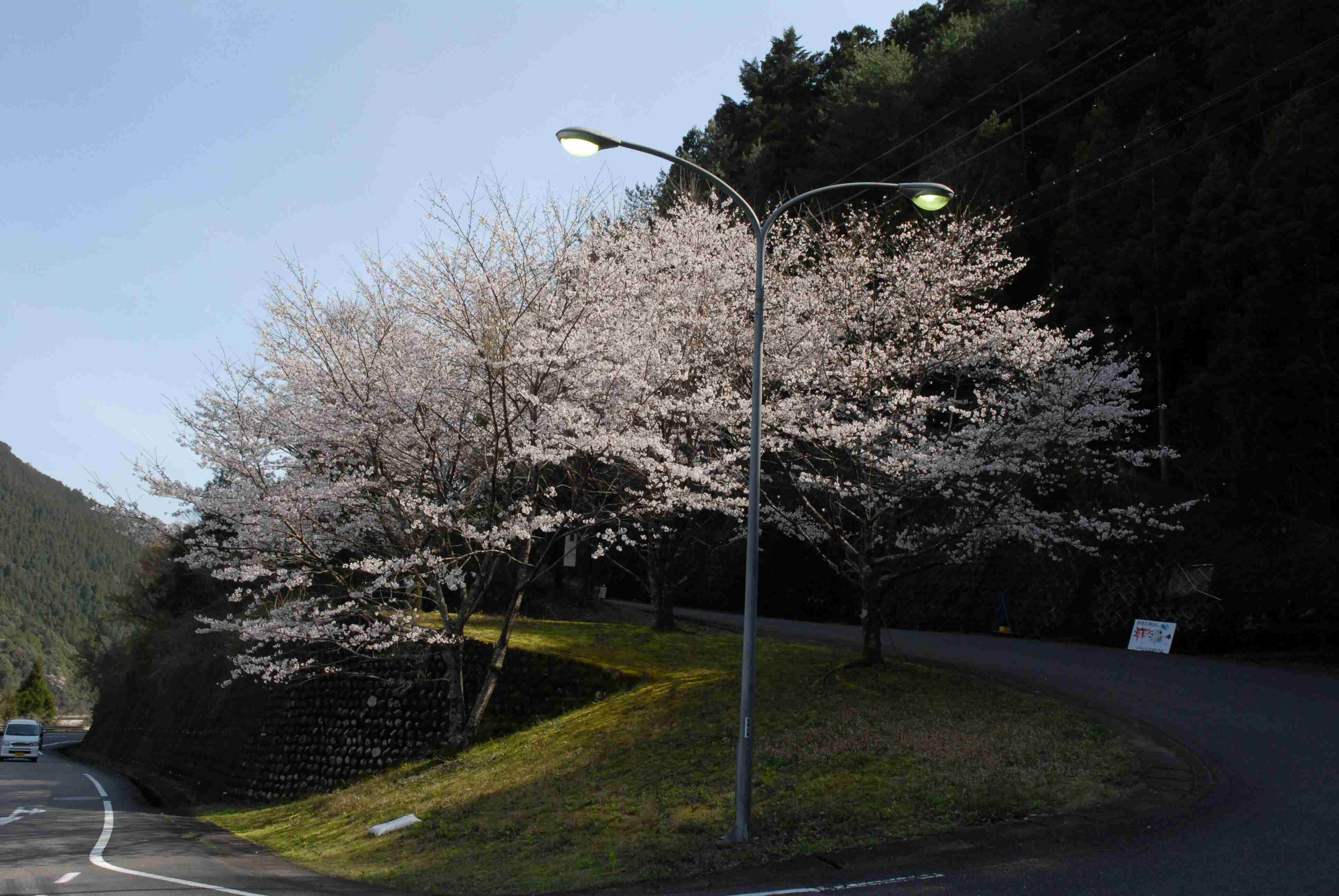 f0086397_18501278.jpg