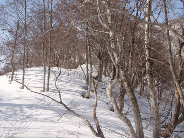 c0147398_224226100.jpg