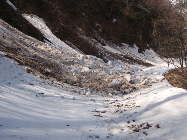 c0147398_22444294.jpg