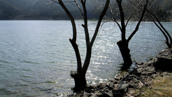 c0015099_1859177.jpg