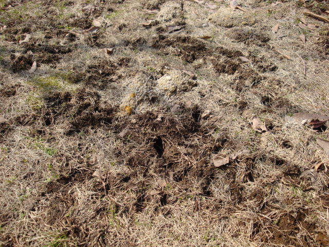 e0175905_2327111.jpg