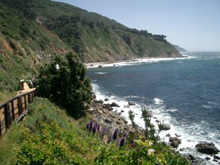 b0101106_14255450.jpg