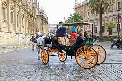 a0039307_23291046.jpg