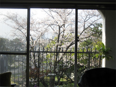 c0114110_8263658.jpg