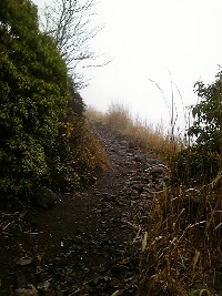 e0114015_21551034.jpg