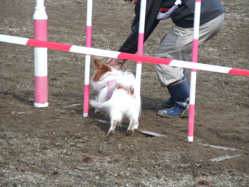 3・20　エクストリーム練習会 in 山梨・清里_c0050220_1171698.jpg