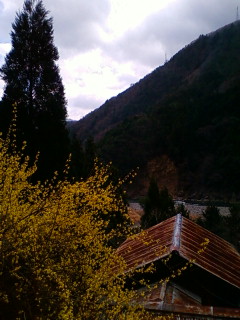 f0083021_12232039.jpg