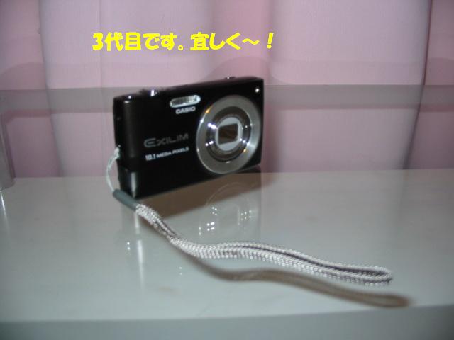 f0182121_6453913.jpg
