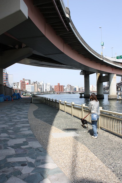 e0162524_1213960.jpg