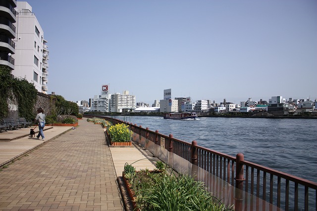 e0162524_121432.jpg