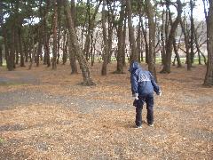 春の嵐_e0170128_145542.jpg
