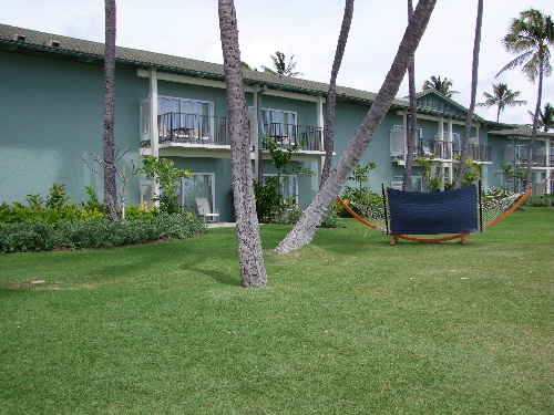 a0000029_259165.jpg